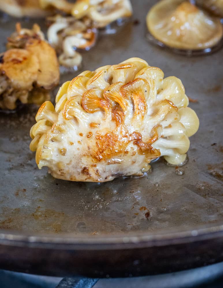 cooking whole clusters of golden oyster mushrooms 