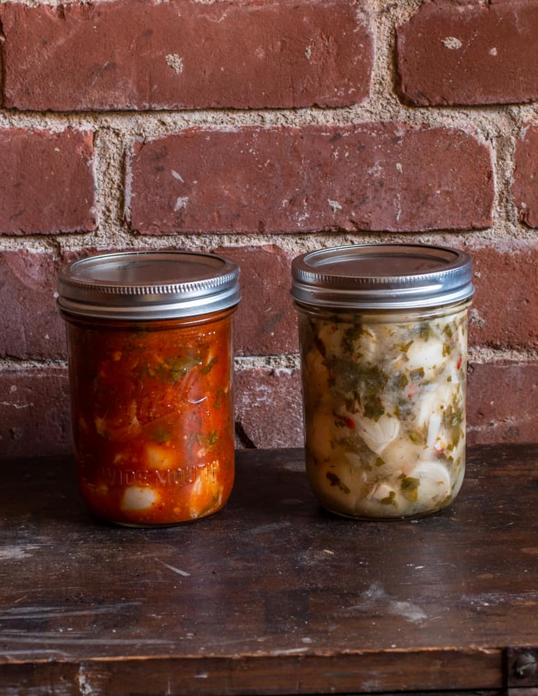 Two different lampascioni preserves in jars