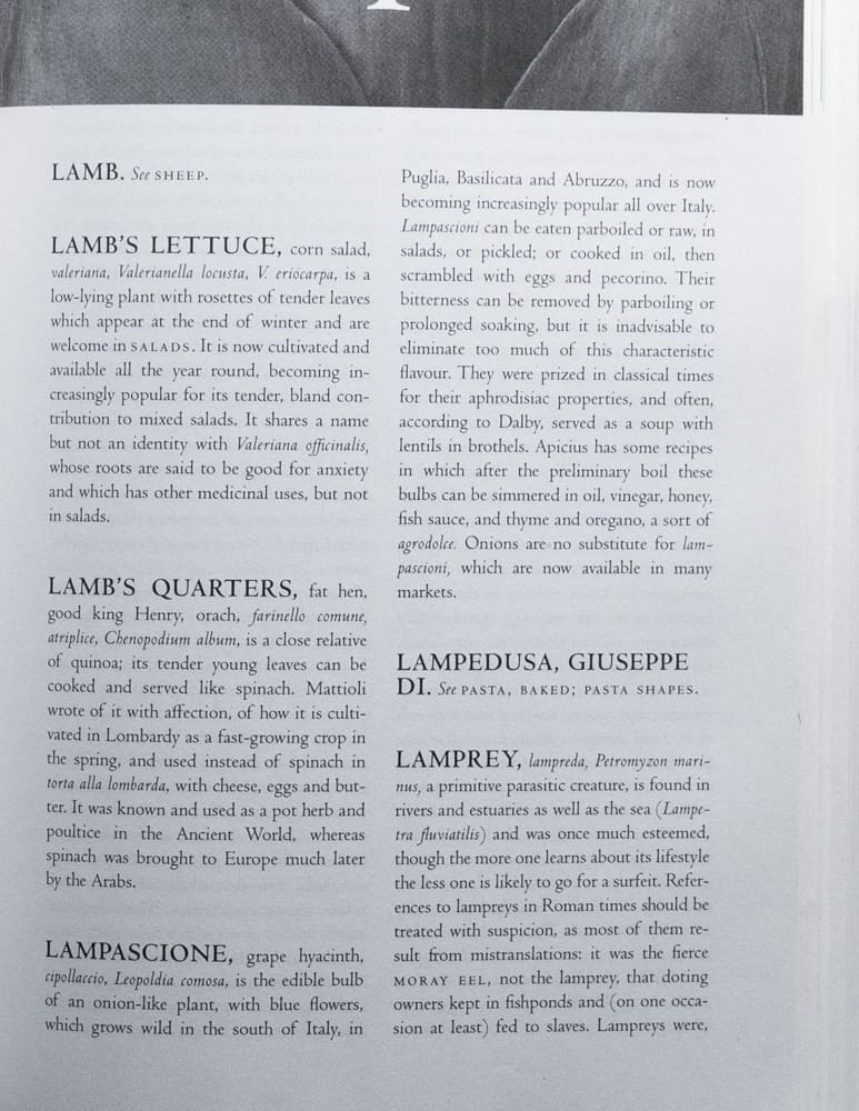A description of lampascioni from the Oxford Companion to Italian Food