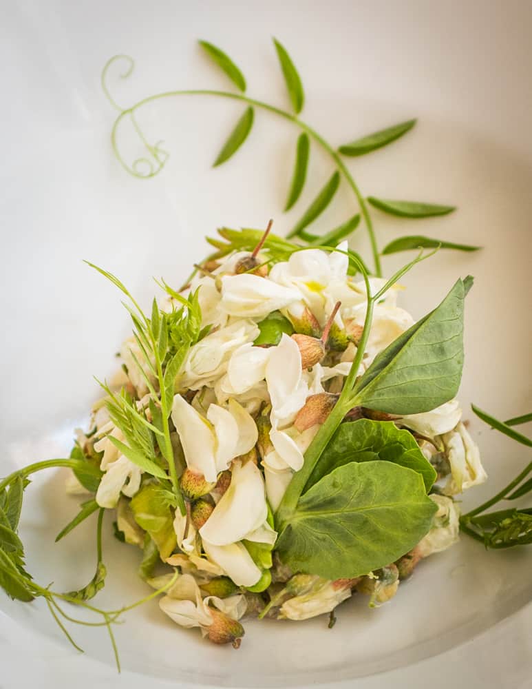 Black locust salad with vetch shoots 