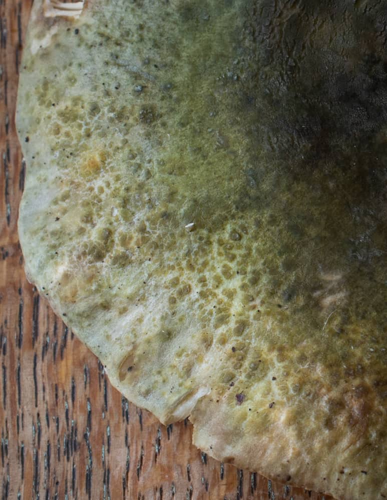 Close up of a quilted green russula cap (Russula virescens) 