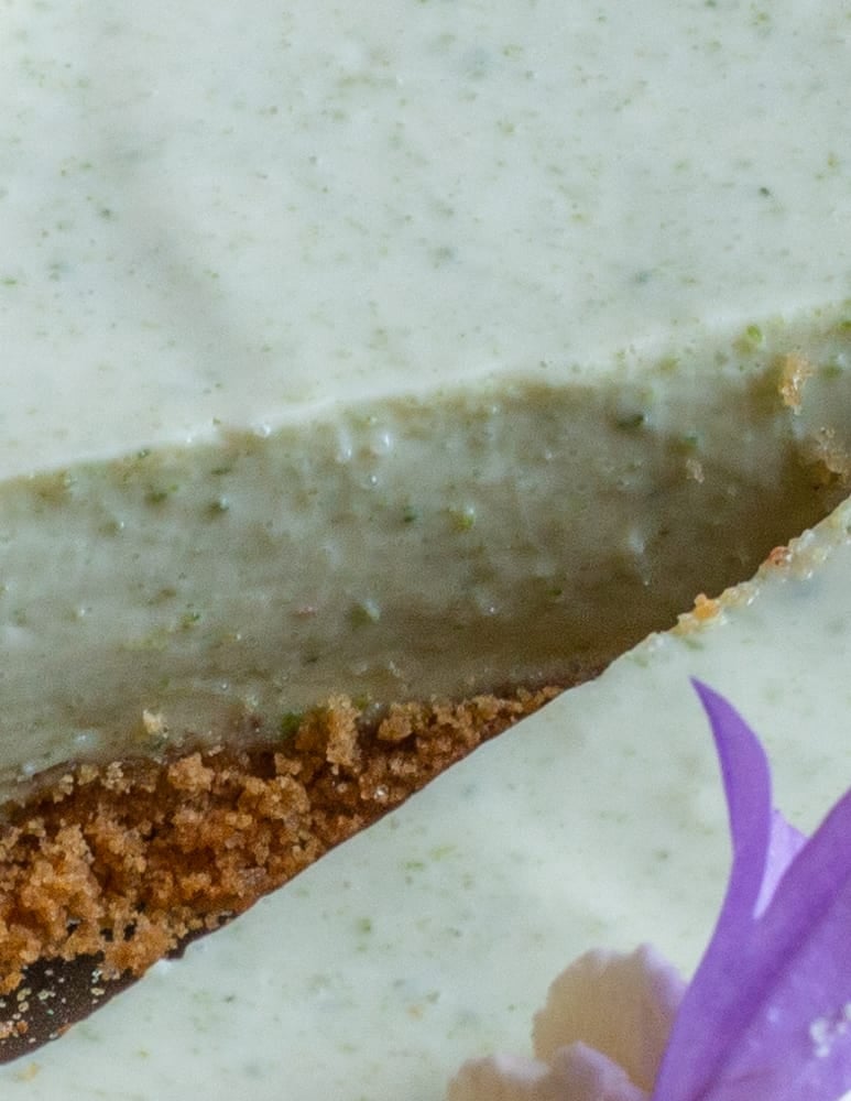 close up of spruce key lime pie that wasn't strained, showing spruce particles
