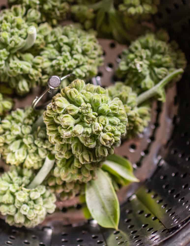 Steamed Milkweed Buds