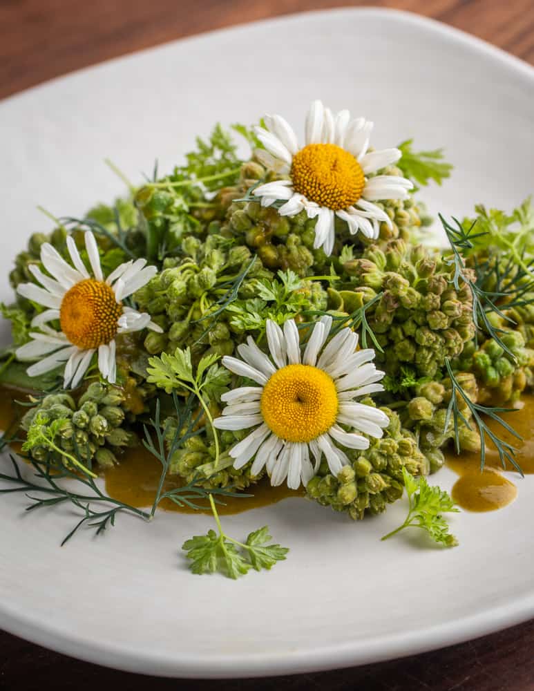 Steamed milkweed buds with ramp sauce, herbs and oxeye daisies