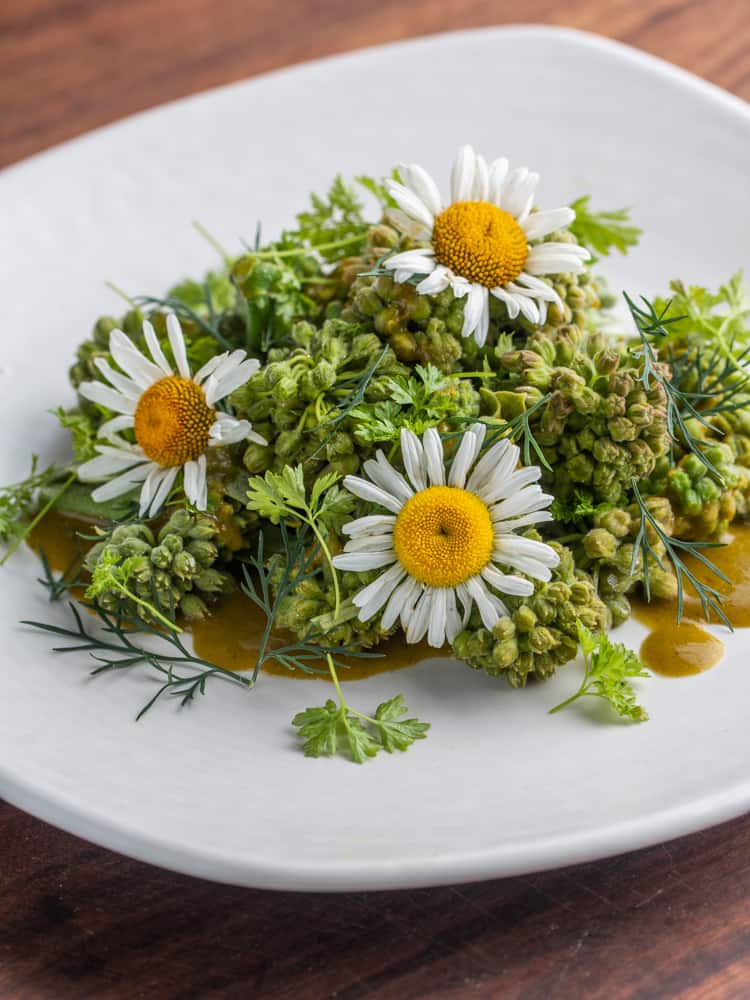 Steamed milkweed buds with ramp sauce and oxeye daisy flowers (5)