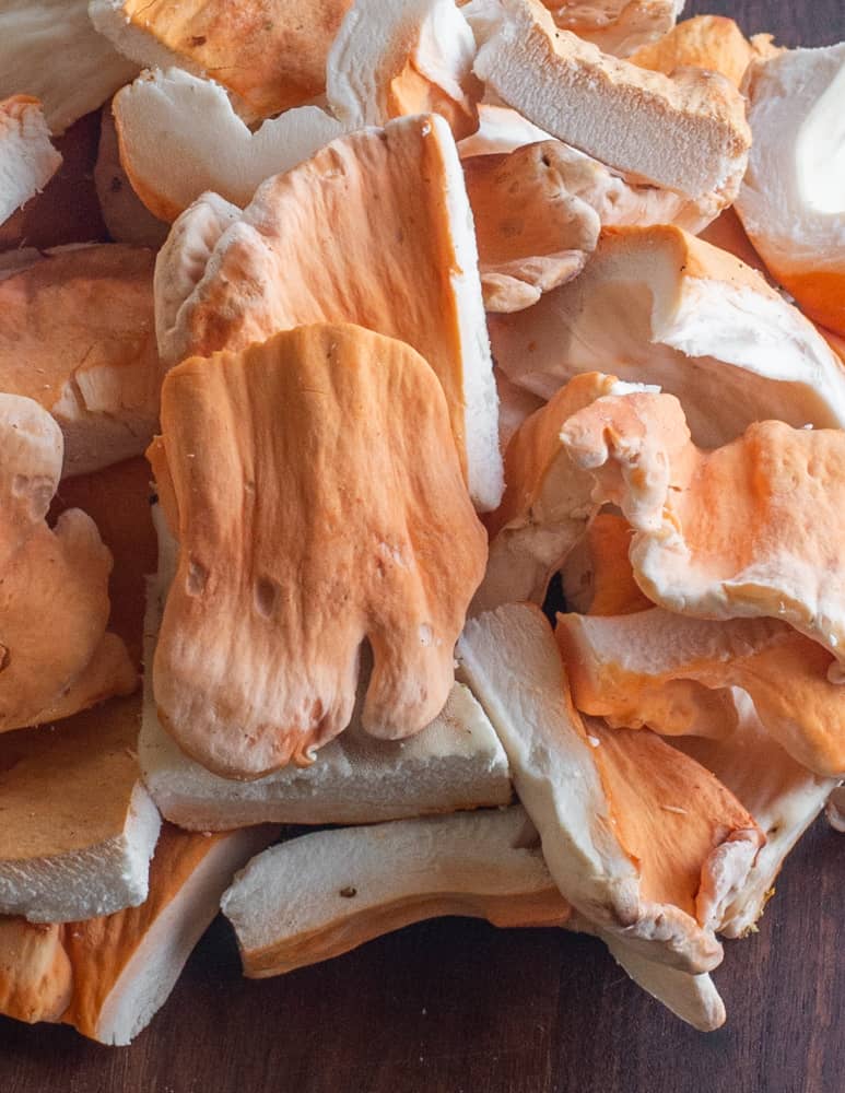 Tender pieces of white pored chicken of the woods (Laetiporus cincinnatus) 