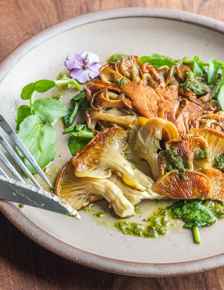 Cutting into golden oyster mushroom steaks