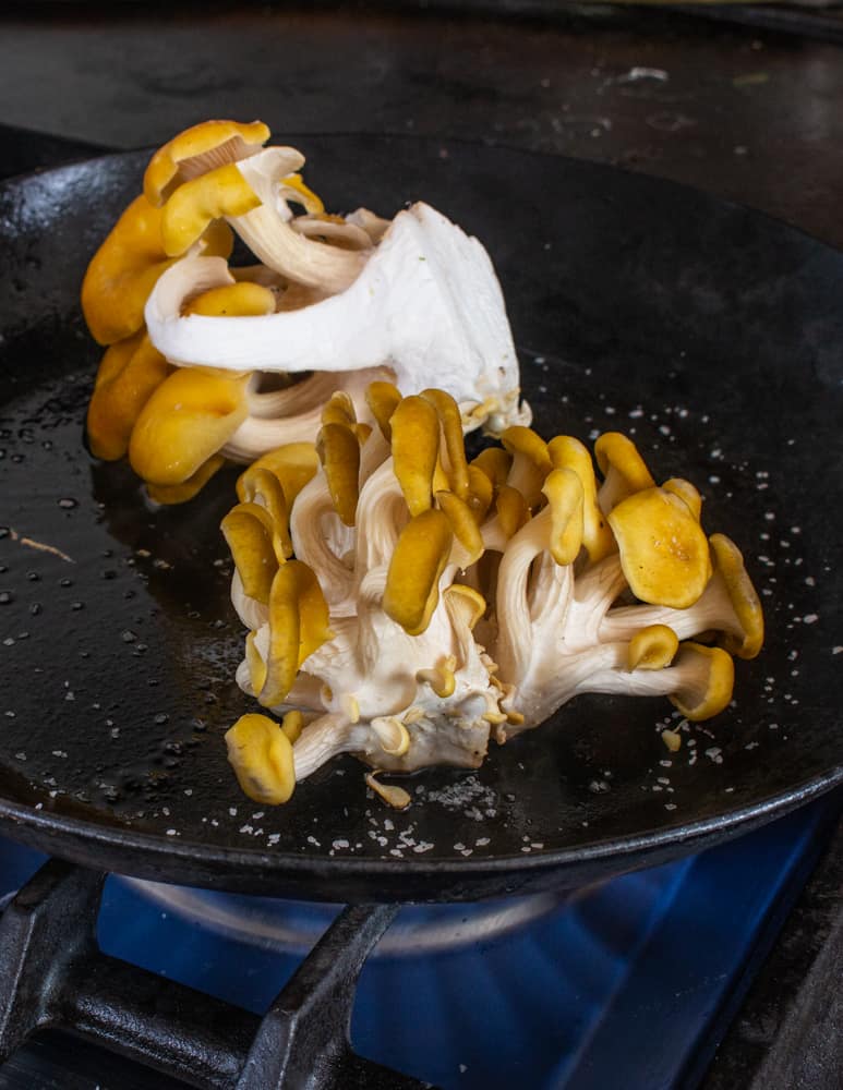 Cooking clusters of golden oyster mushrooms in a pan 