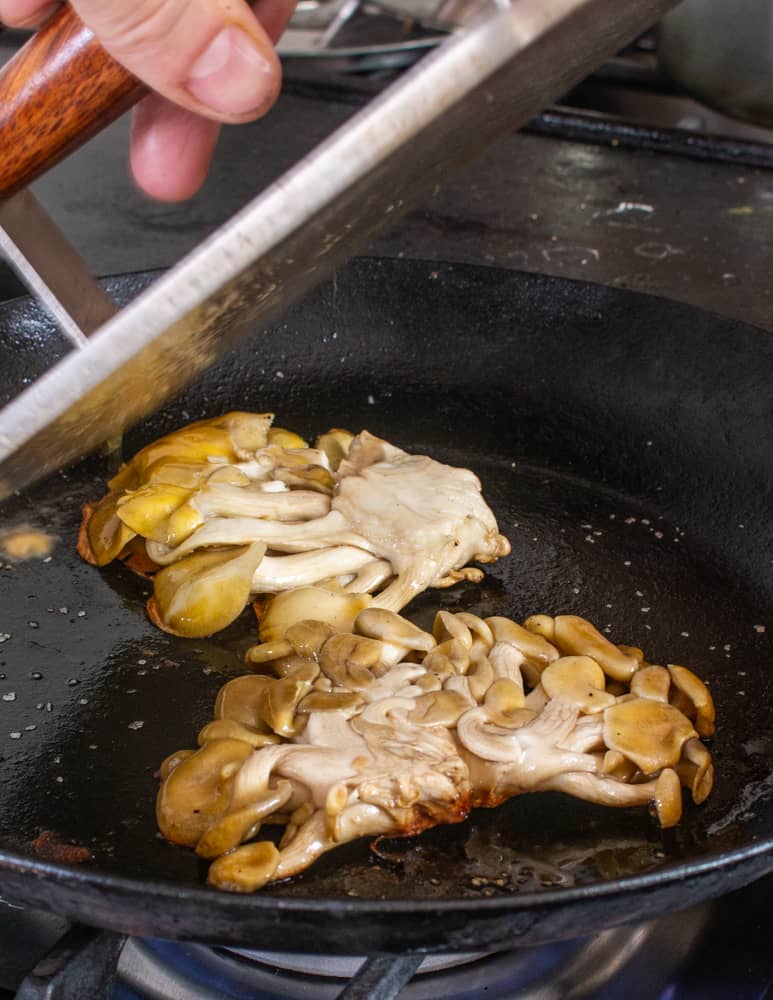 cooking golden oyster mushroom steaks under a bacon press