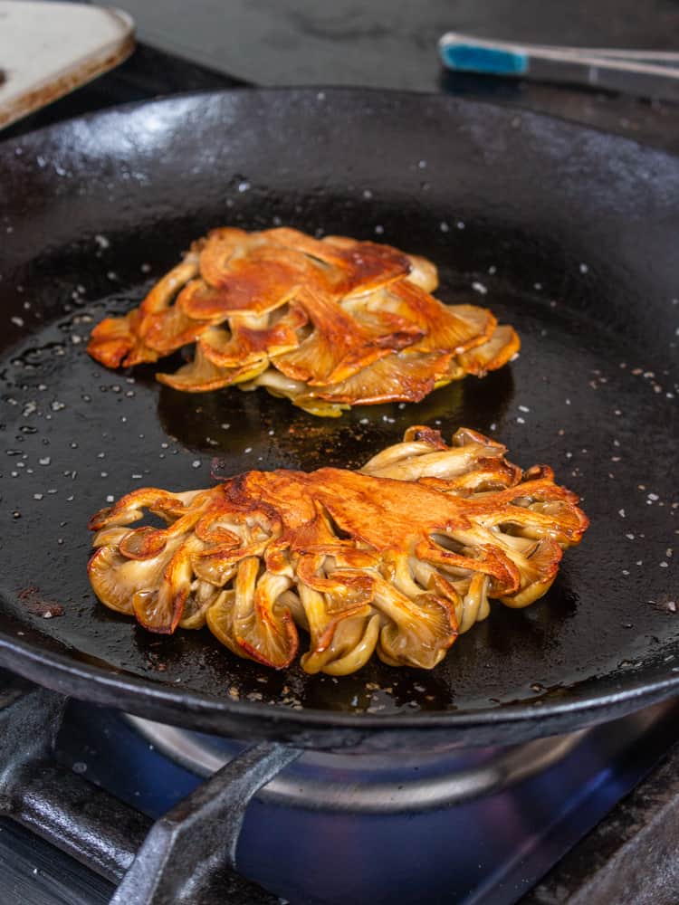 Floral Mushrooms Cast Iron Skillet Mitt 