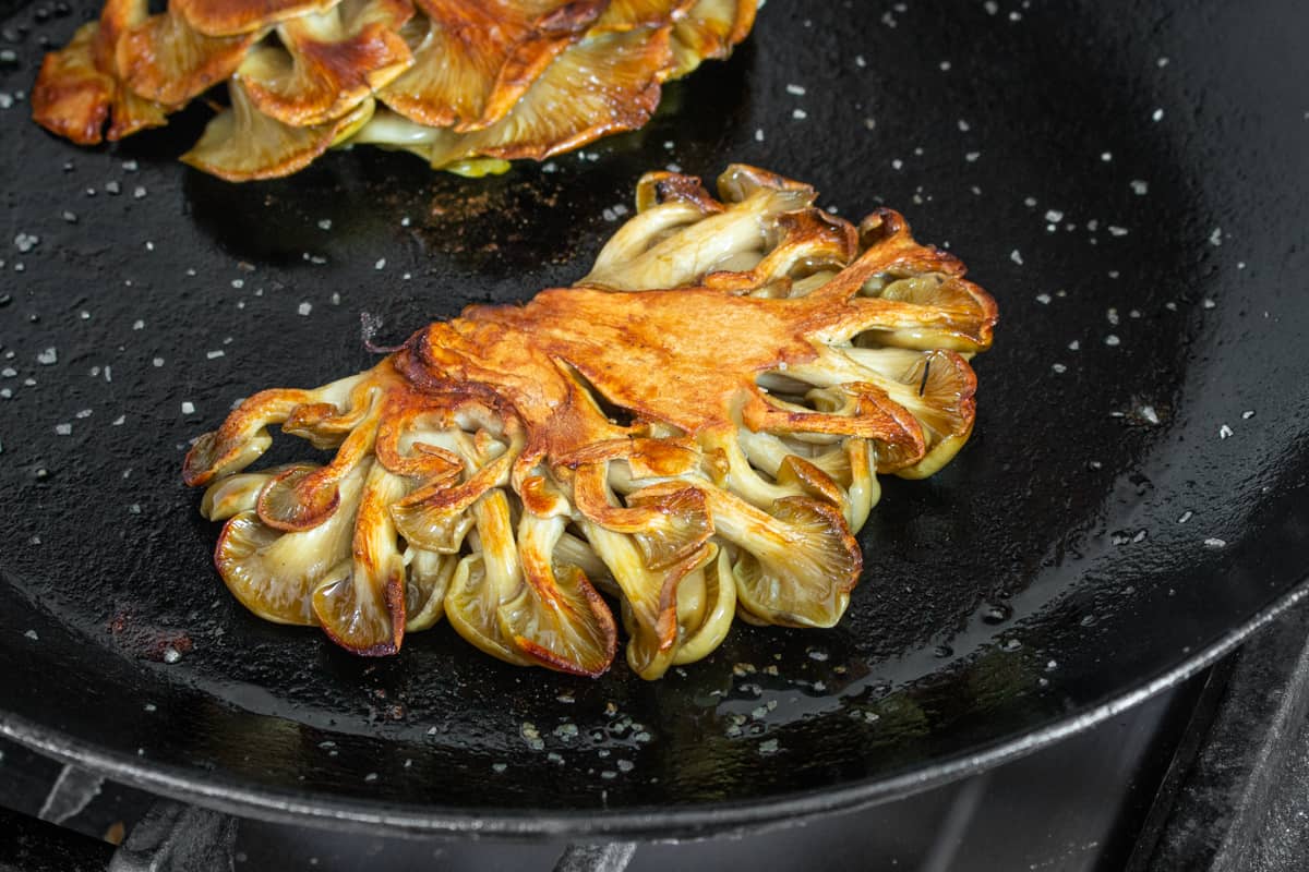 Wild golden oyster mushroom steaks in a pan 