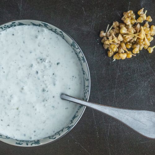 Fermented Ramp Seed Capers - FORAGER | CHEF