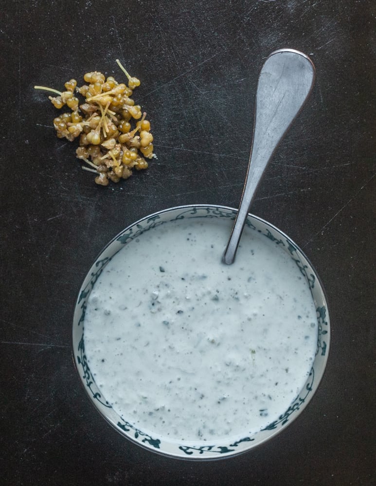 Fermented Ramp Seed Tzatziki