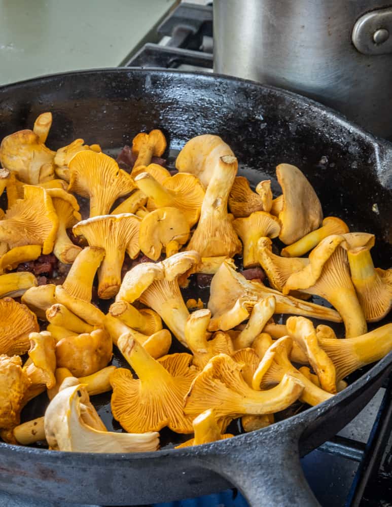 Cooking chanterelle mushrooms