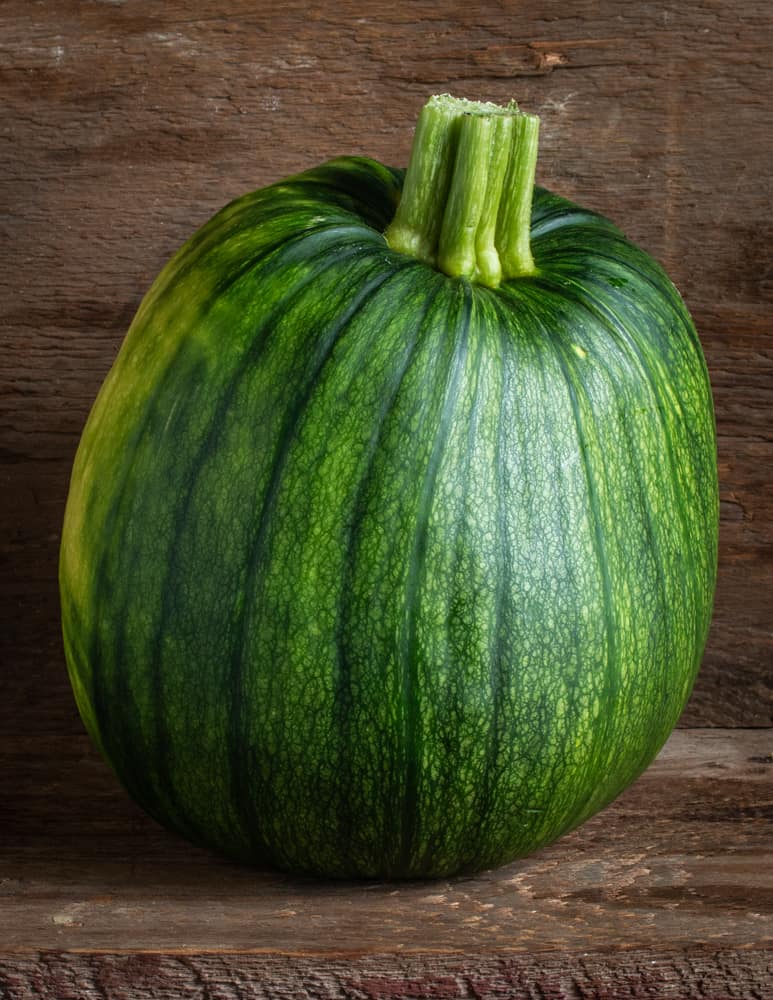 Unripe green pumpkin 