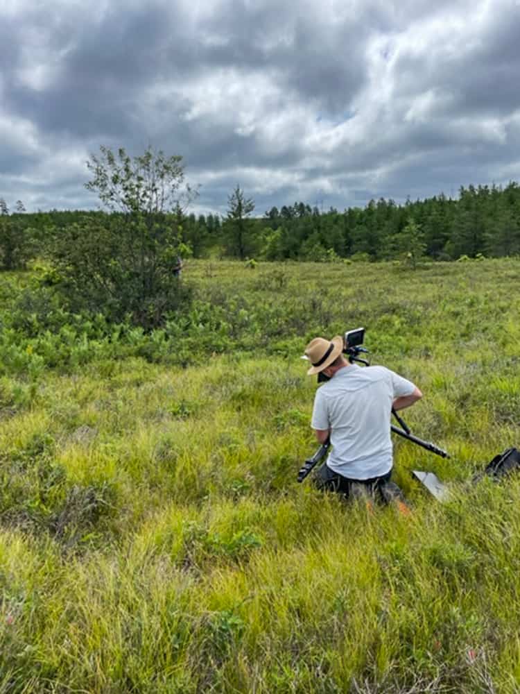 Filming foraging in the Pine Barrens 