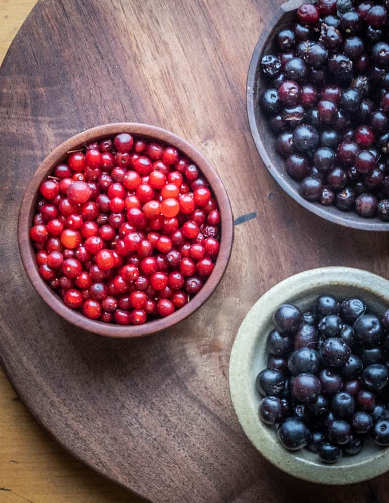 Wild cherries: pIn cherry sand cherry chokecherry 