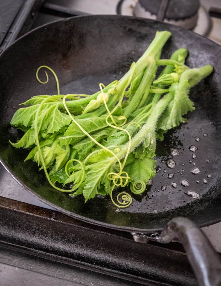 Cooking squash shoots in a pan 