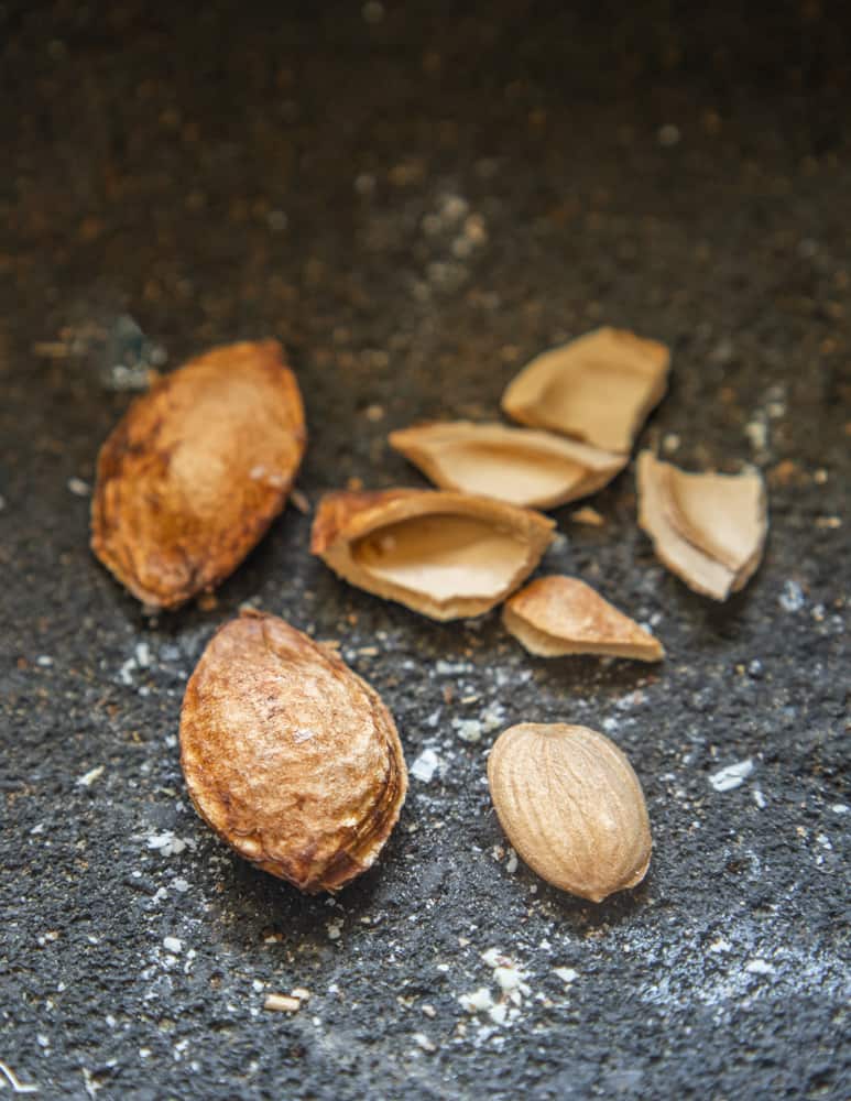 Cherry kernels or stones 