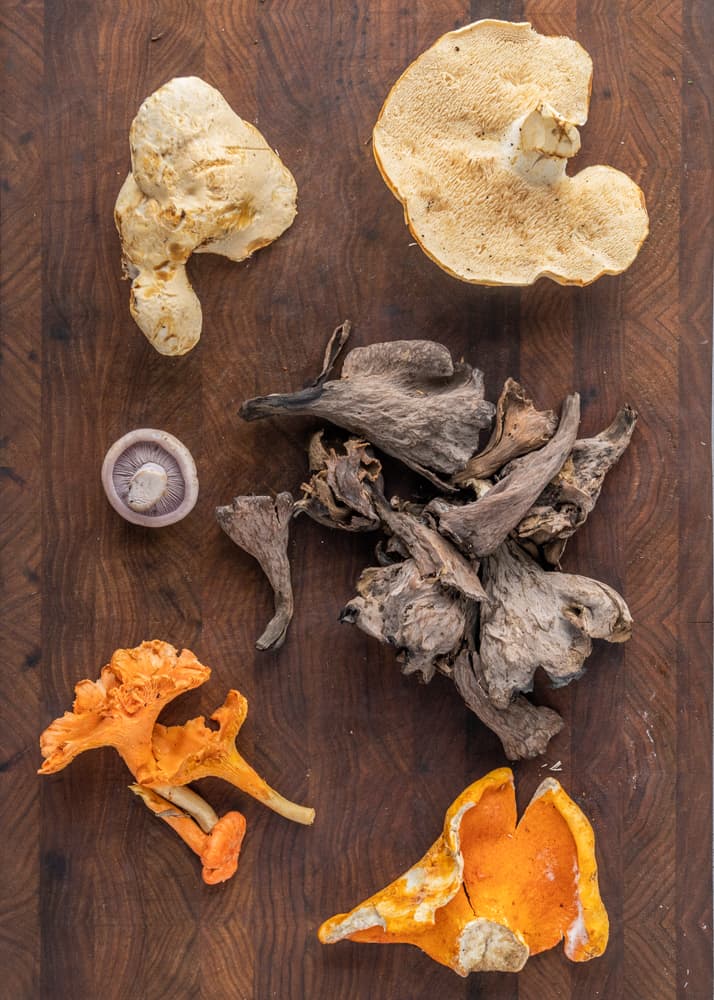 hedghog, black trumpet, blewit, red chanterelle, and lobster mushrooms