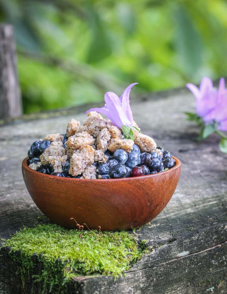 A bowl of wild blueberries with cookies and sweet fern sauce garnished with purple campanula flowers. 