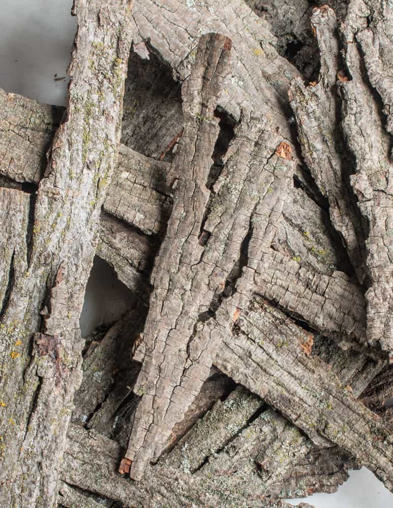 Hickory bark for syrup