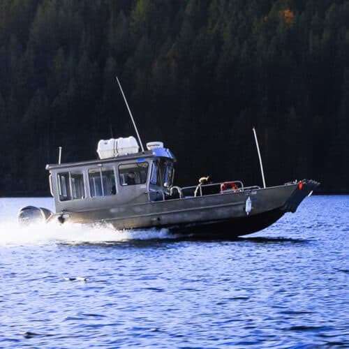 Foraging In British Colombia For Chefs Vs Wild