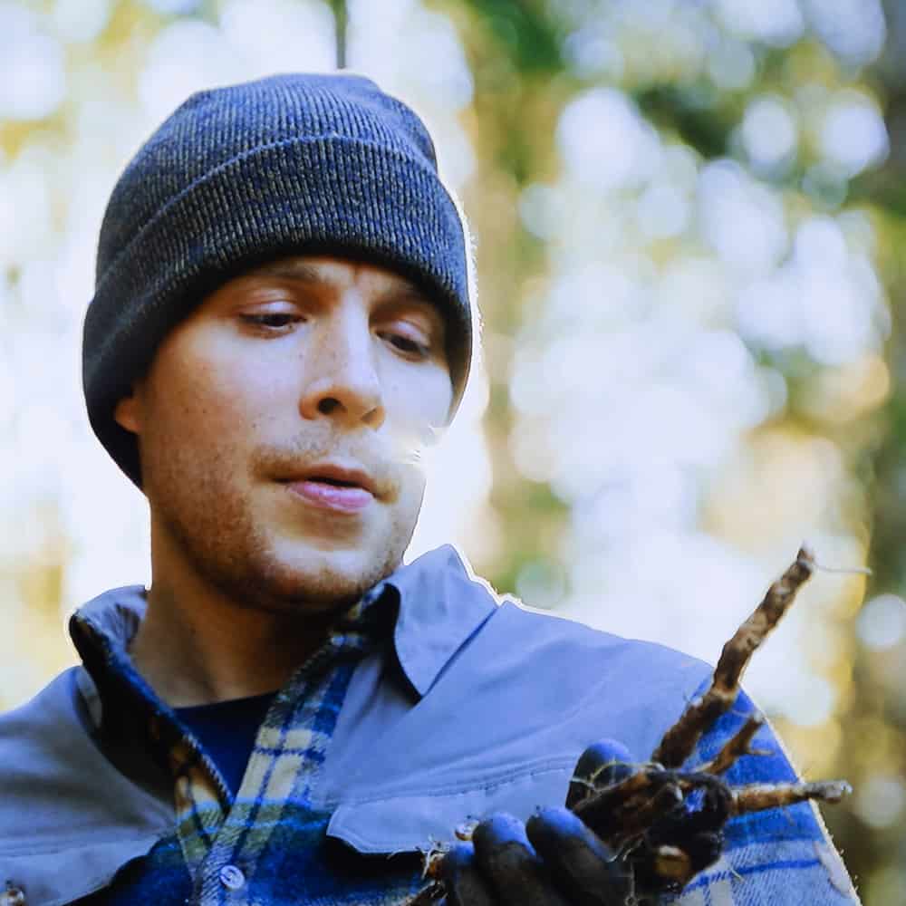 A man harvesting thistle roots and holding them up for the camera. 