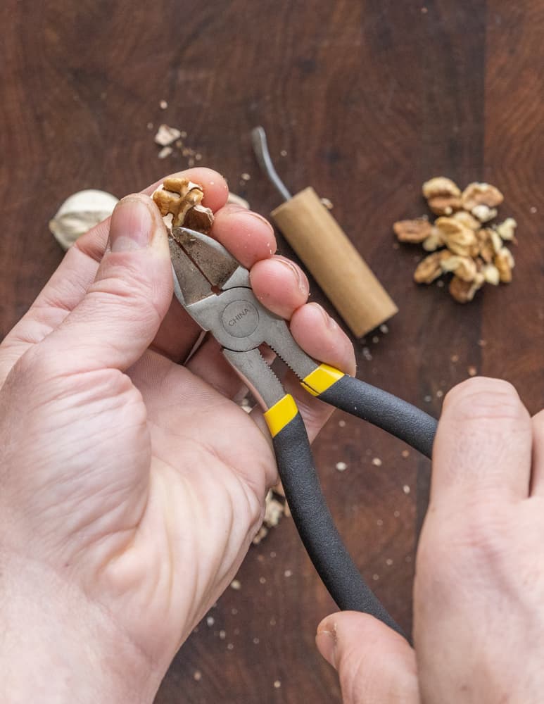 Using a snips to crack shells of shagbark hickory nuts