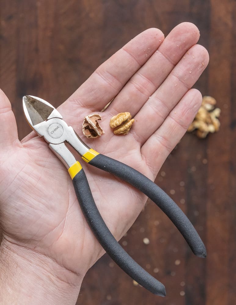 Using a snips to crack shells of shagbark hickory nuts
