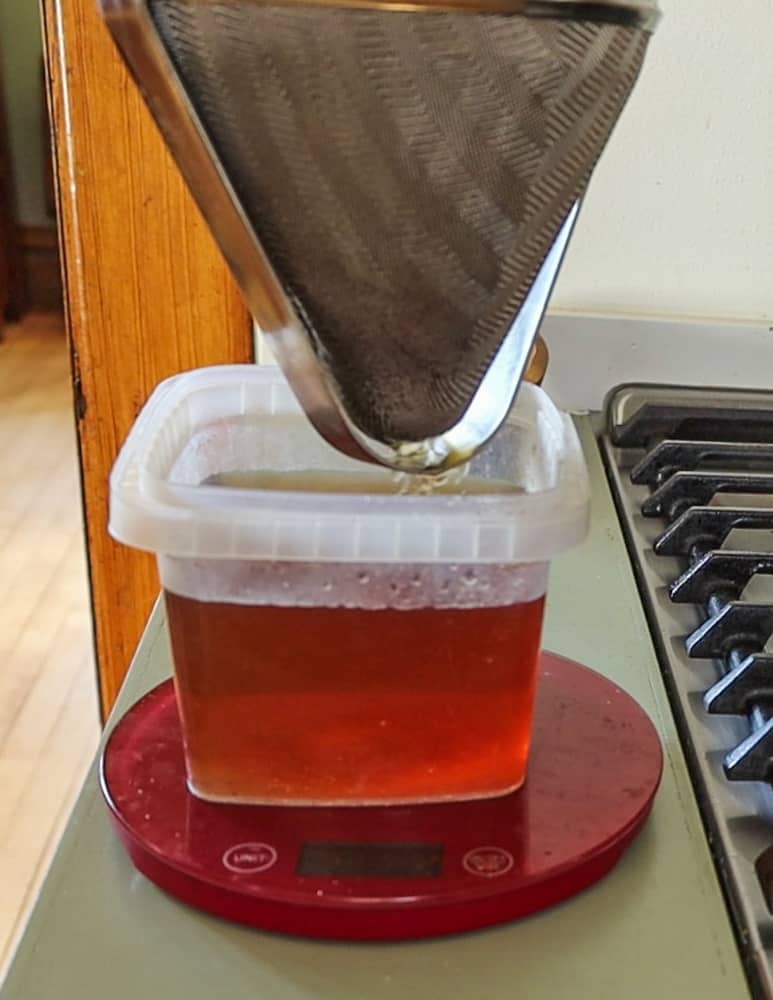 Straining shagbark hickory tea for syrup