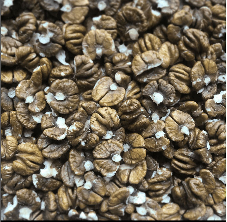 Shagbark hickory nuts 