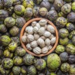 Shelled and unshelled shagbark hickory nuts (Carya ovata)