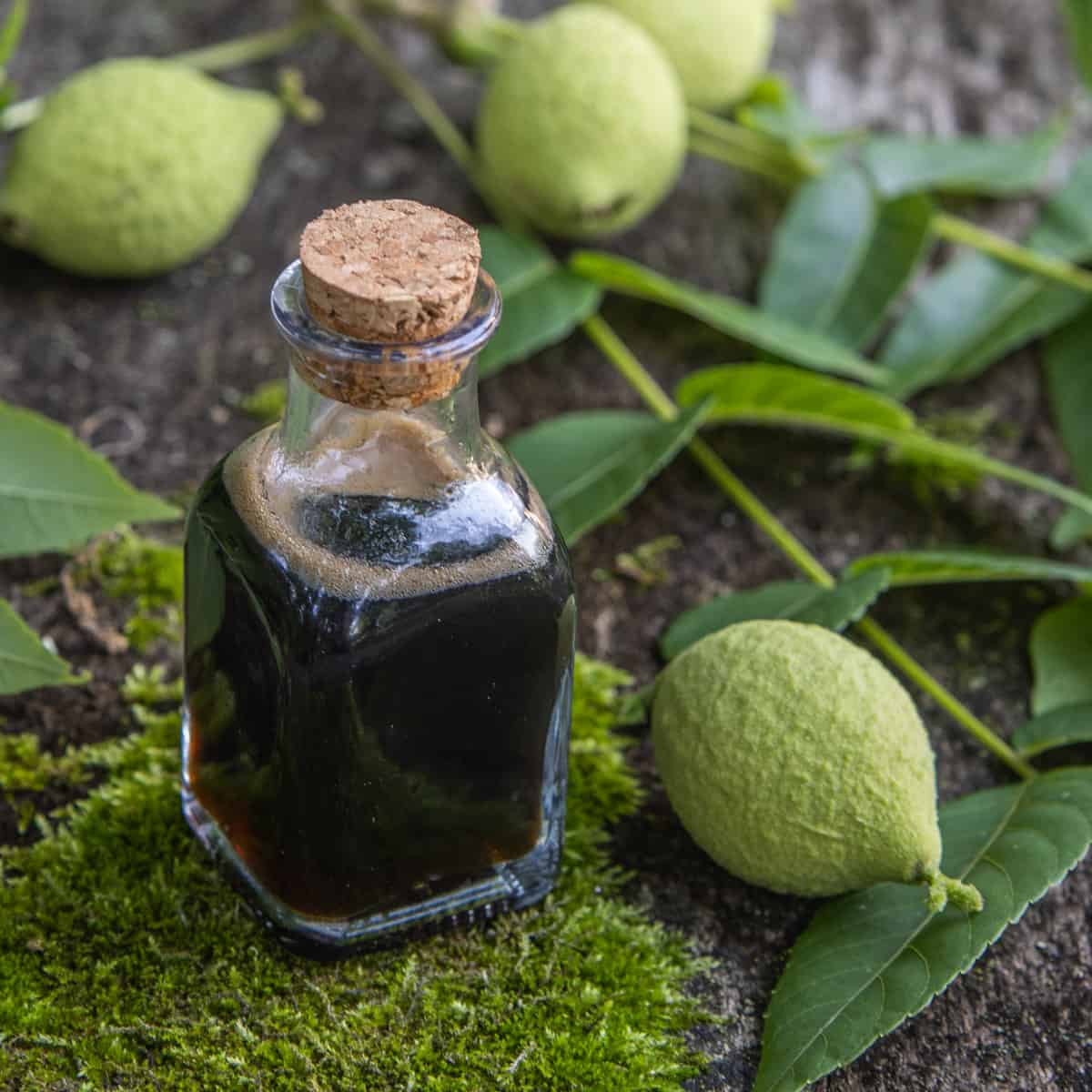 green walnut syrup in a jar next to green walnuts 