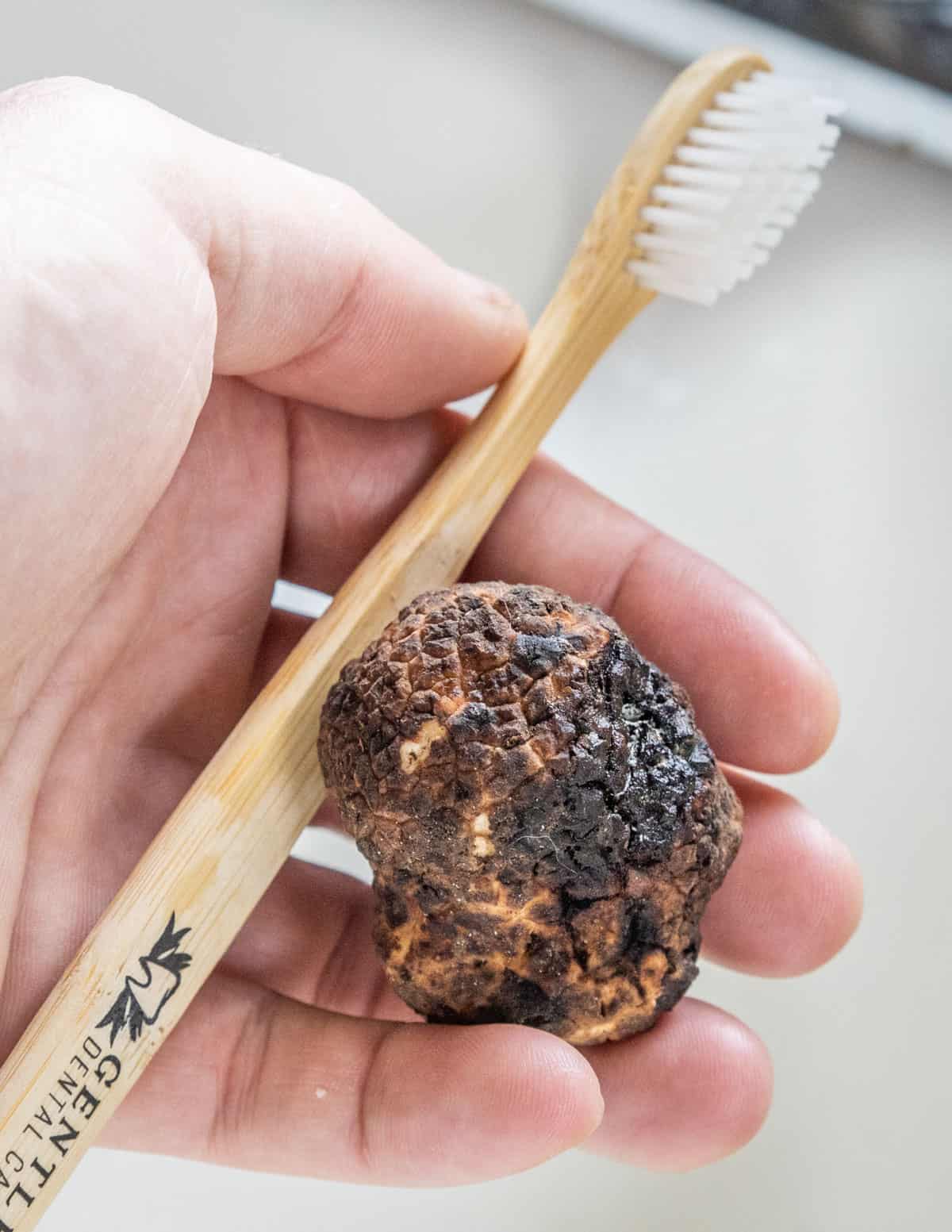 scrubbing a truffle with a tootbrush to clean it over the sink