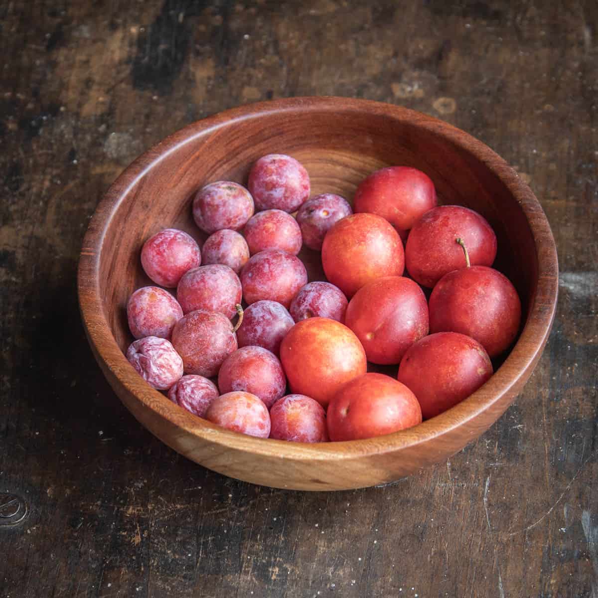 wild plums in a wooden bowl 