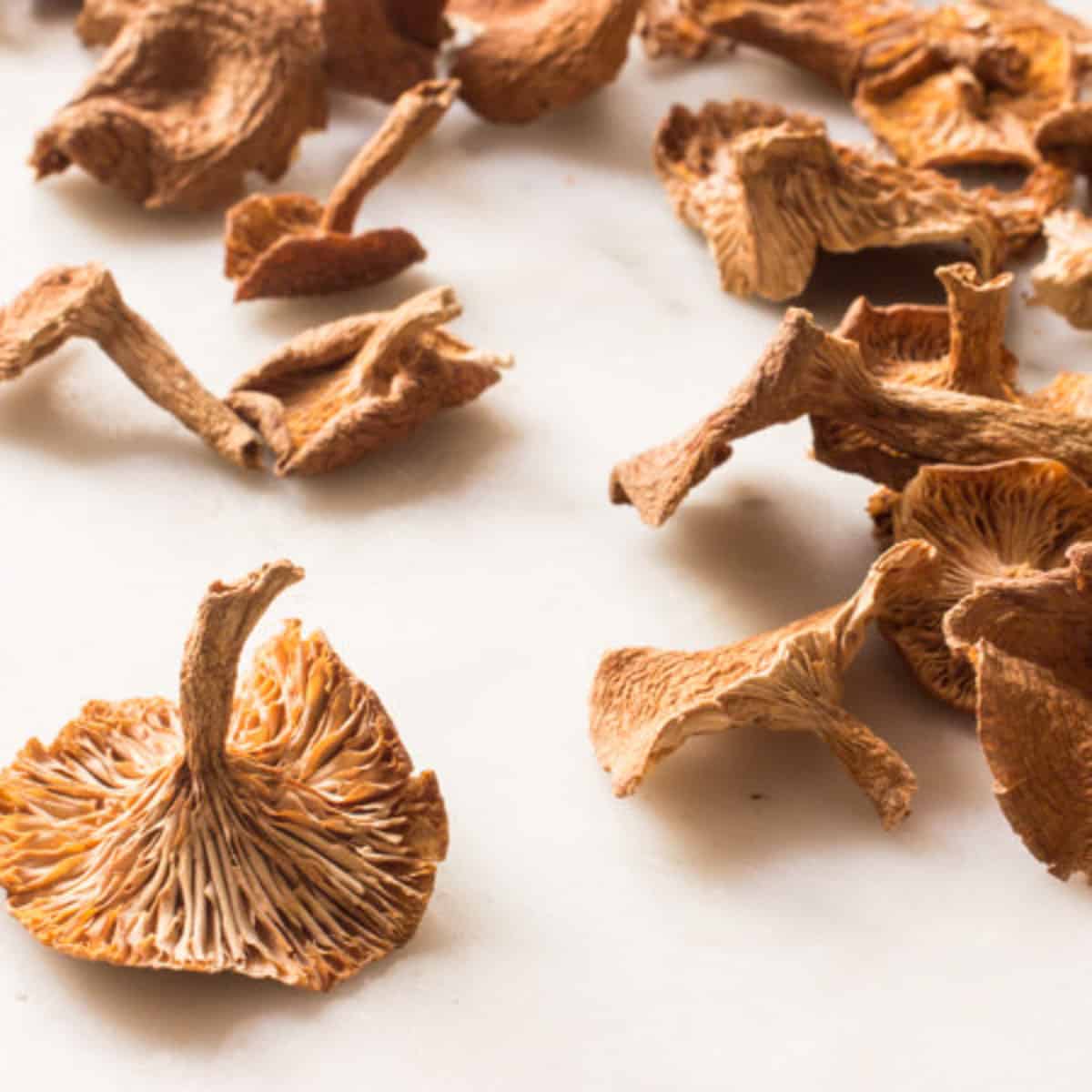 dried candy cap mushrooms