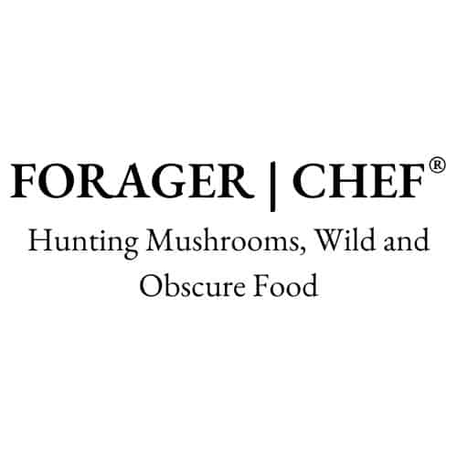 Forager Chef logo