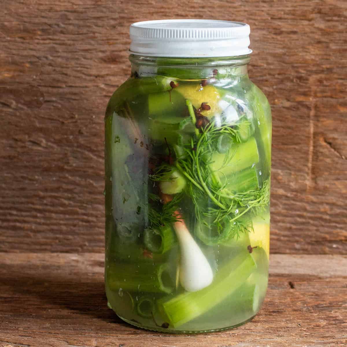 peeled japanese knotweed shoots fermenting in a jar.