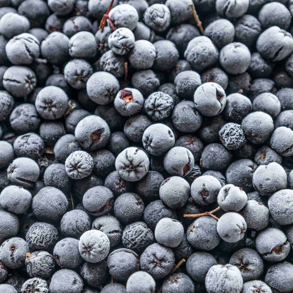 frozen IQF aronia berries or chokeberries