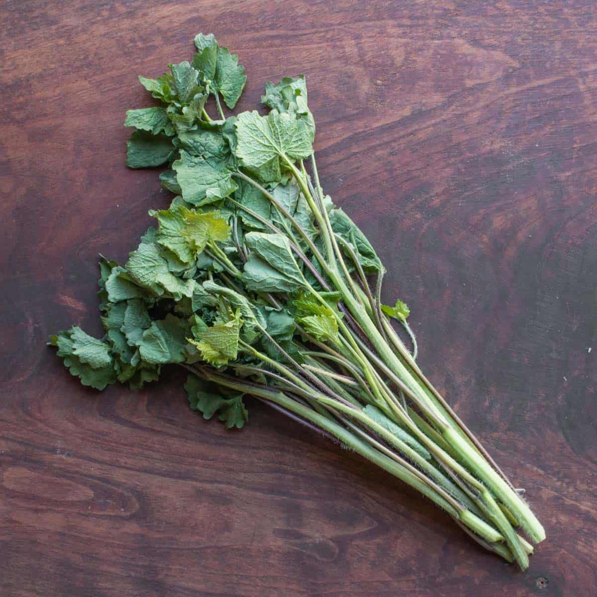 garlic mustard shoots on a board 