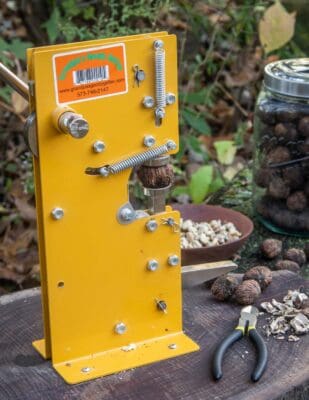 a large yellow nutcracker on a board with cracked black walnuts