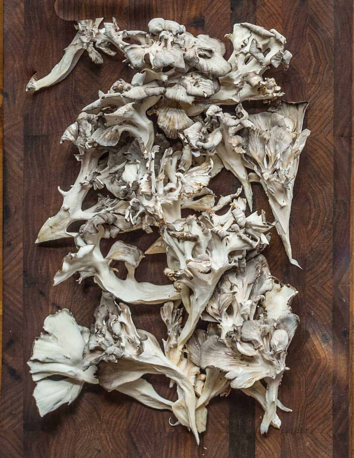 hen of the woods mushrooms pulled apart into fronds. 