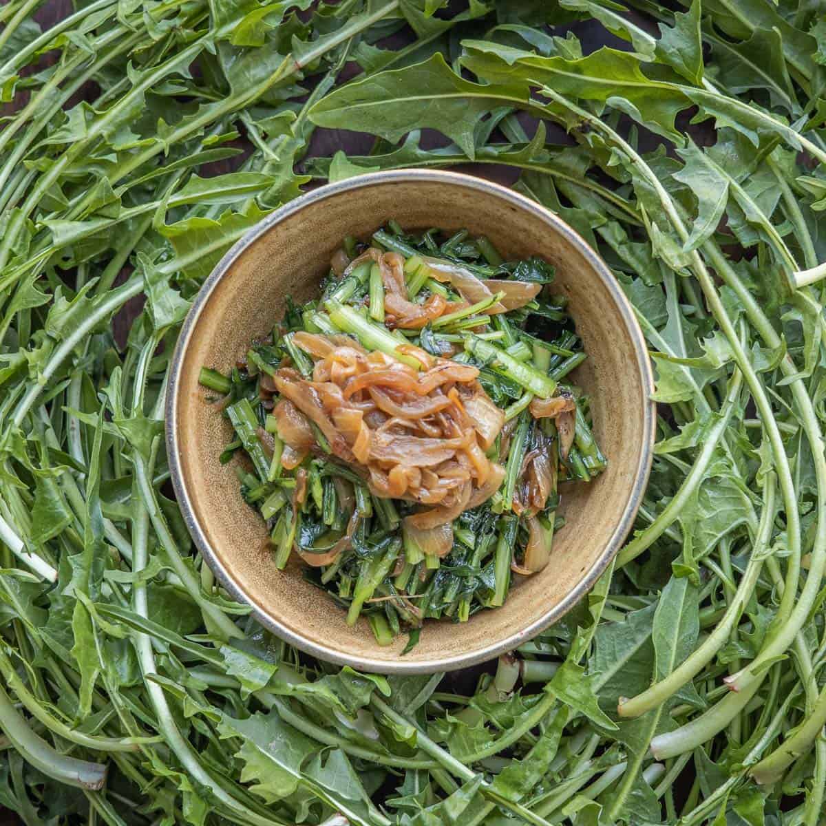 cooked dandelions and caramelized onions in a bowl surrounded by dandelions.