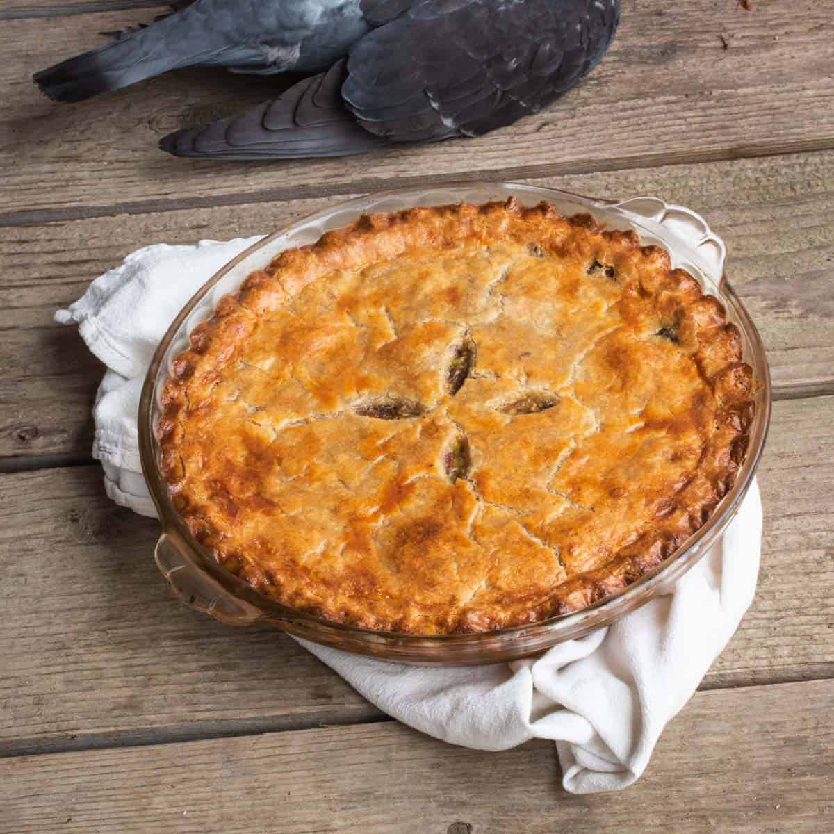 a pie made from pigeon on a picnic table next to a dead pigeon