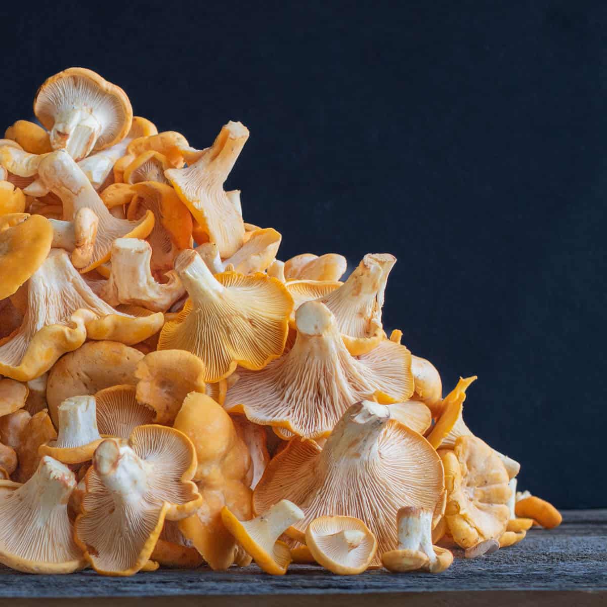 A pile of chanterelle mushrooms