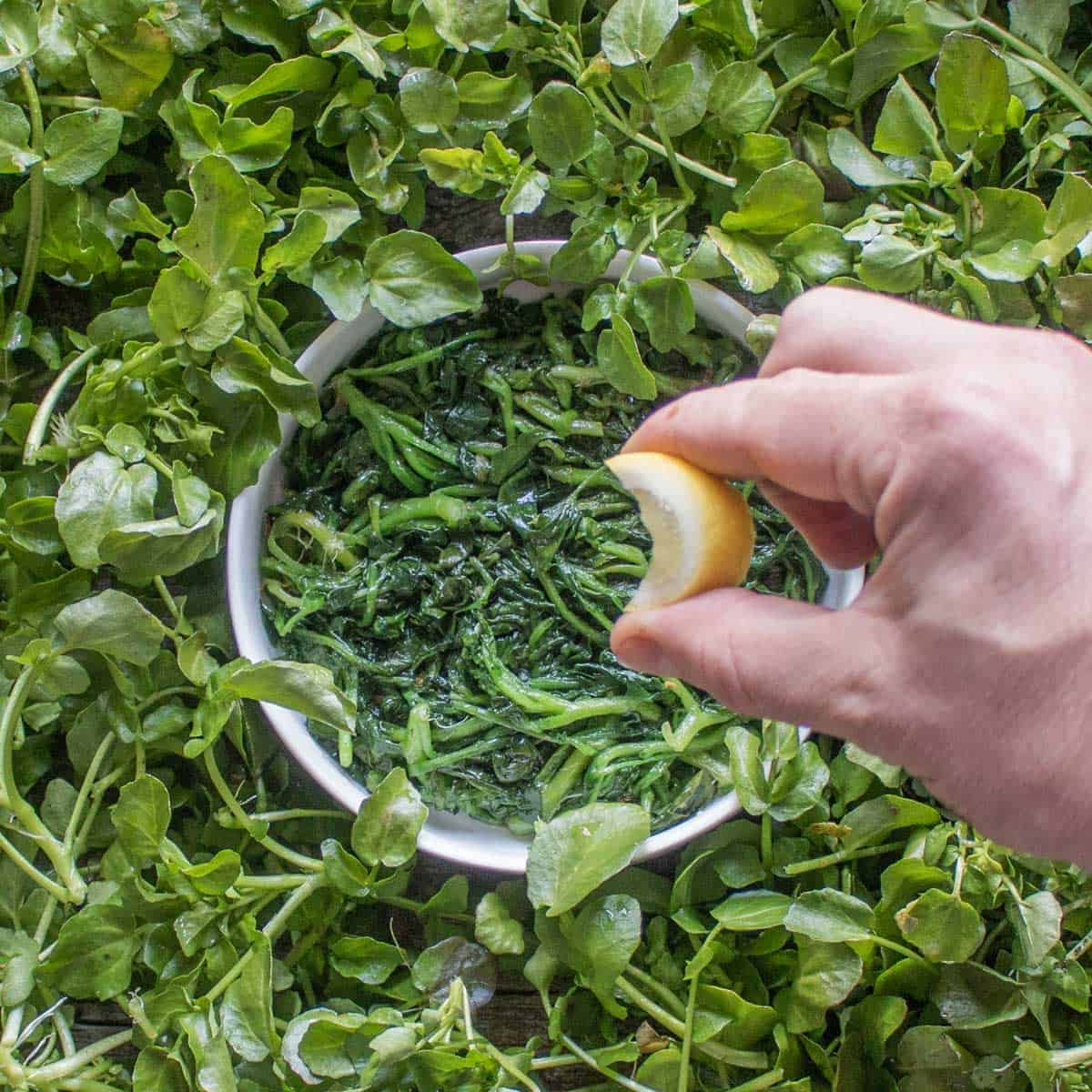 steamed watercress in a bowlsurrounded by fresh watercress