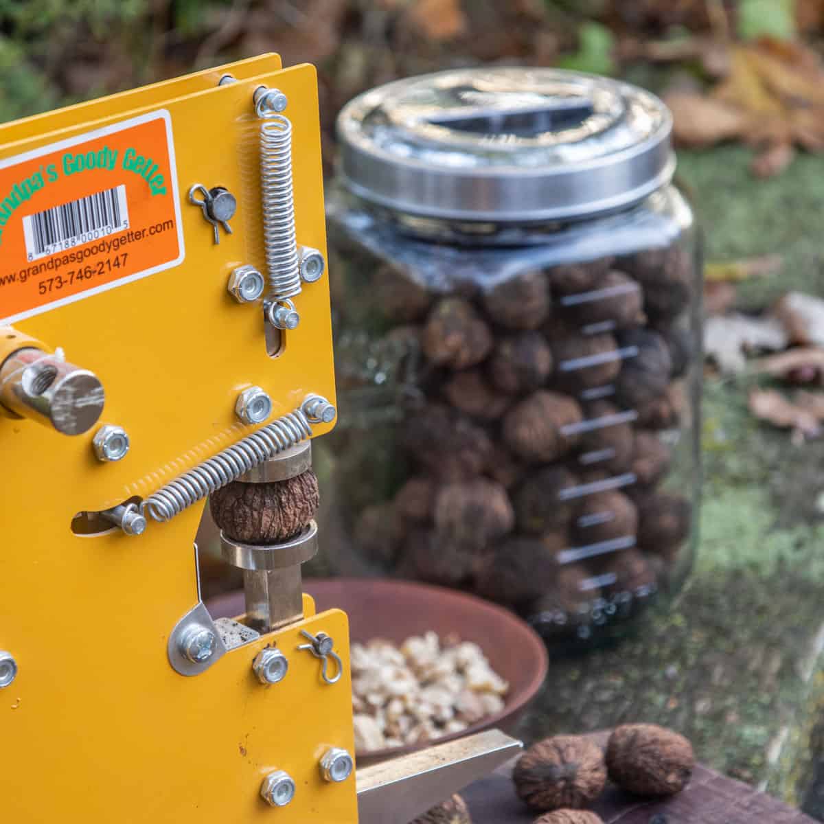 a nutcracker with black walnuts in a jar