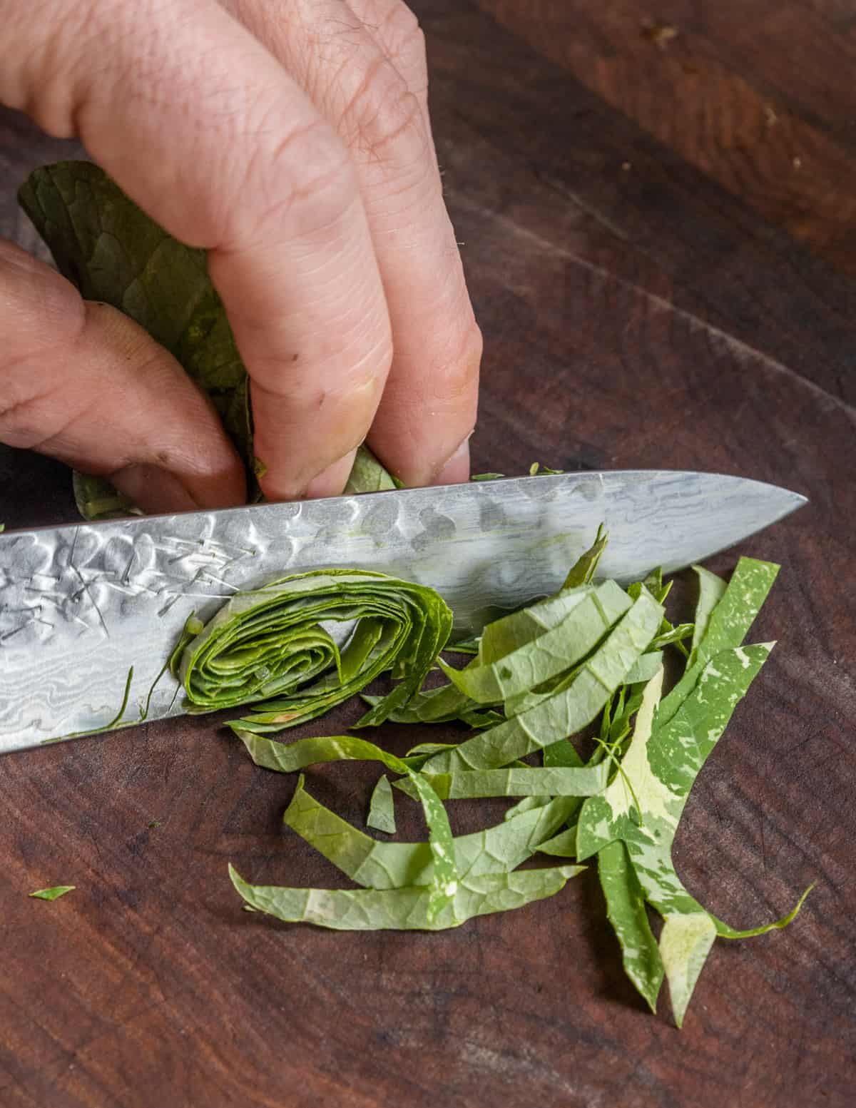 Cutting nasturtium leaves