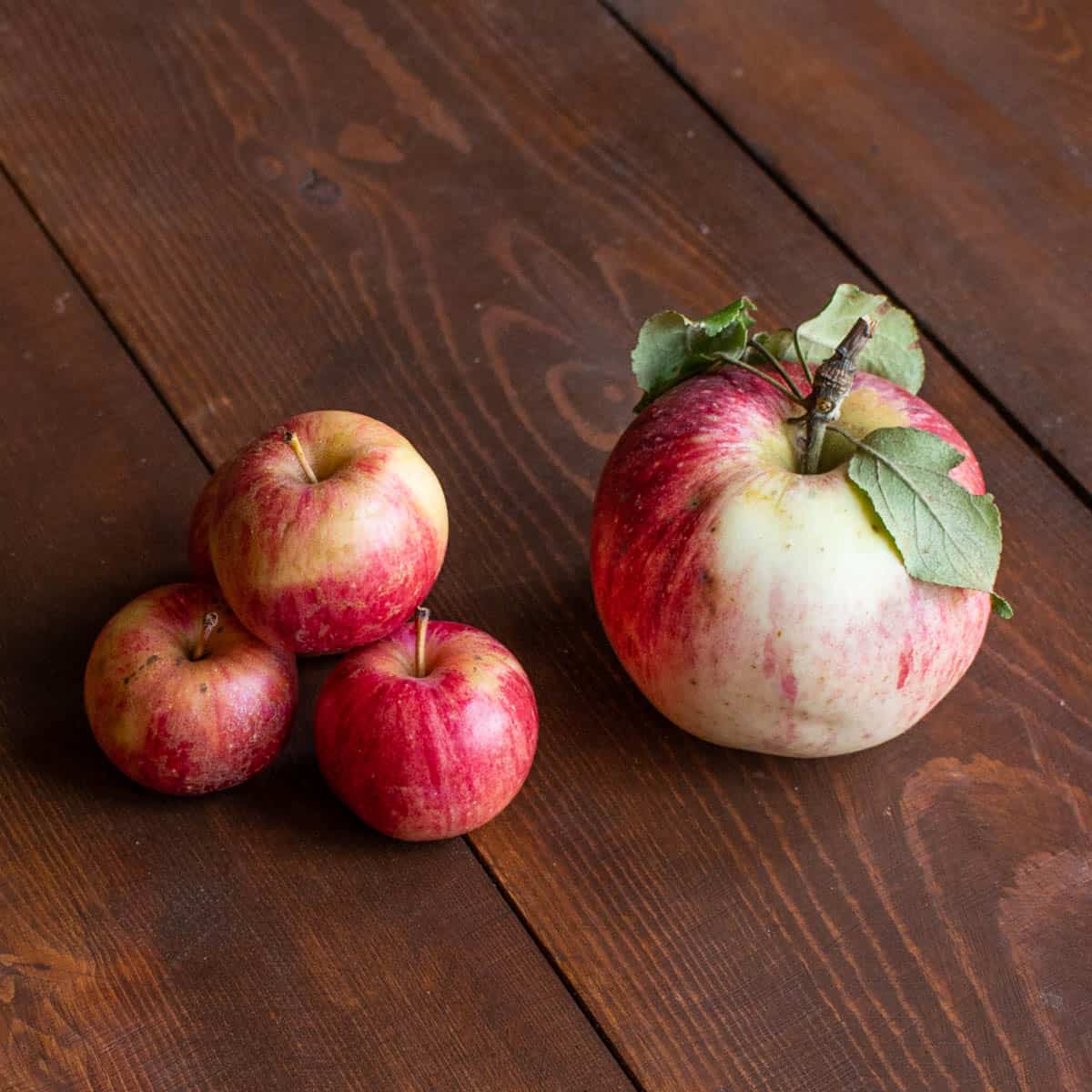 chestnut crab apples and a wild apple on a board